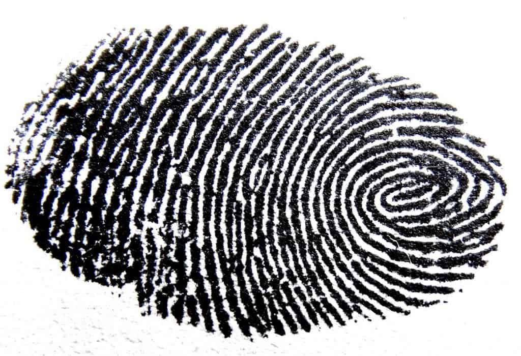 Unique fingerprint